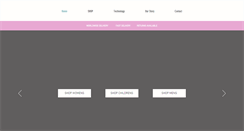 Desktop Screenshot of funkysealwetsuits.com